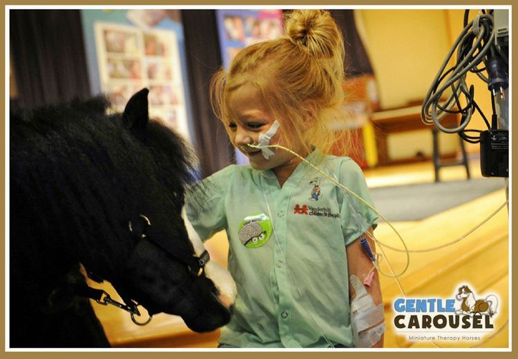 Little Hero Gentle Carousel Miniature Therapy Horses Donate Mini Service Hospital Visit 844x584