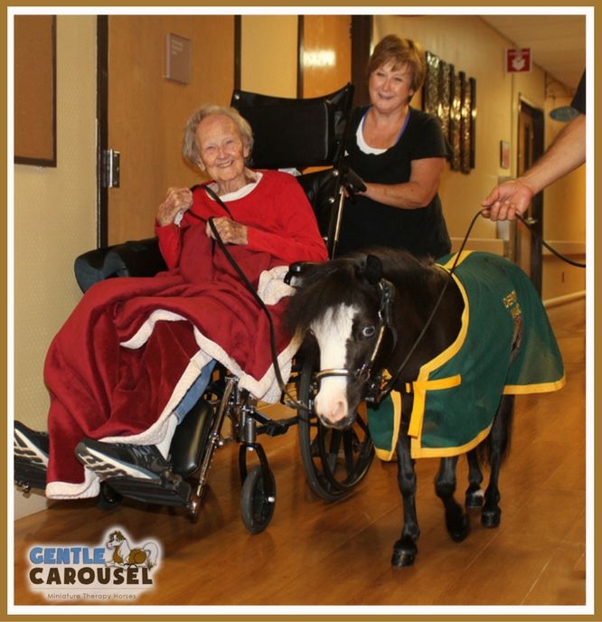Magic Little Hero Horse Hospital VA Gentle Carousel Therapy Horses 666x688.jpg