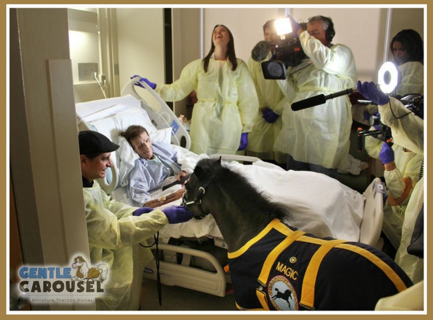 magic hero horse therapy gentle-carousel hospital nyc 859x635