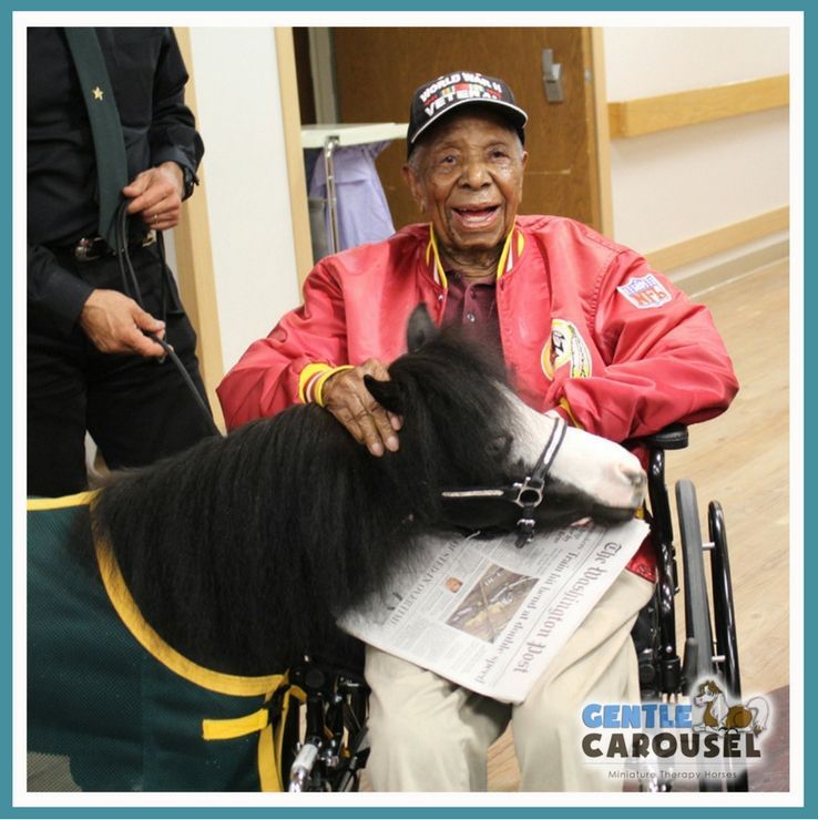 hero therapy horse magic veterans hospital gentle carousel 738x740