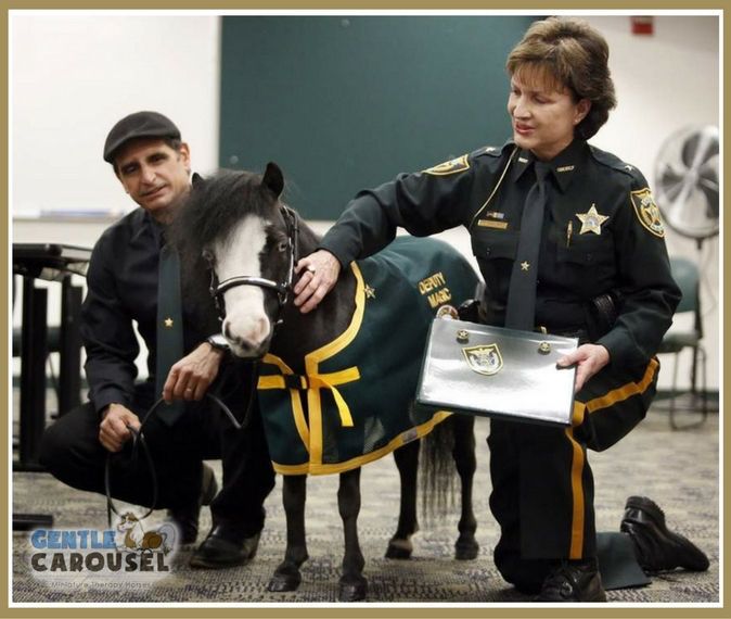 little hero horse magic therapy horses sheriff deputy 675x570