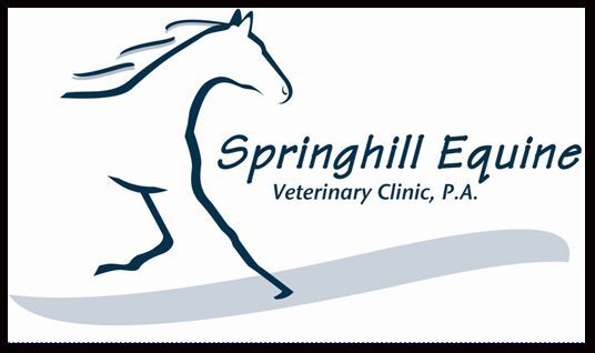 Sponsor springhill therapy horses