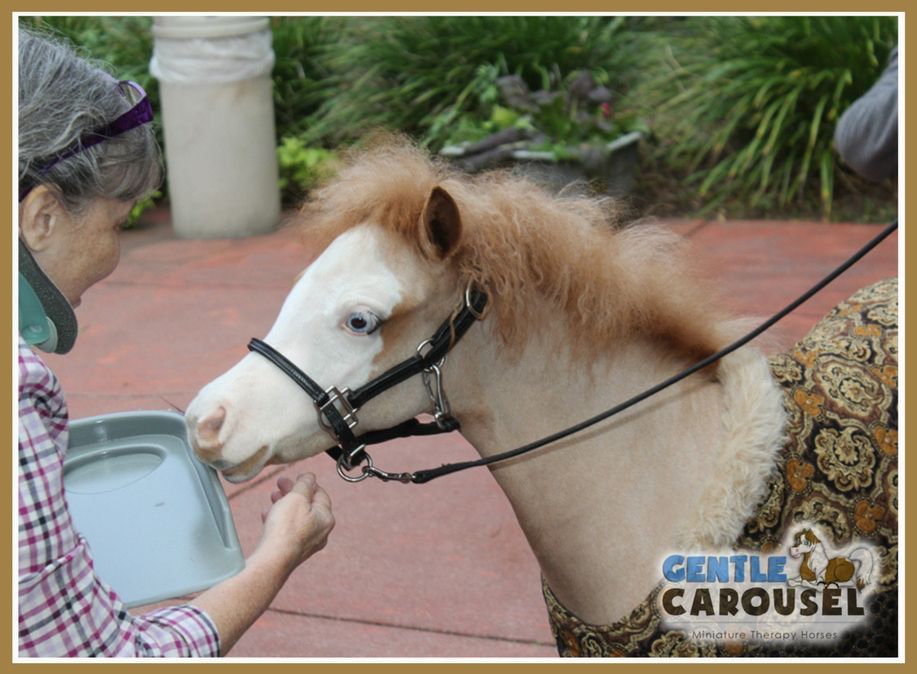 gentle carousel therapy horses amazing grace hero hospital 917x674