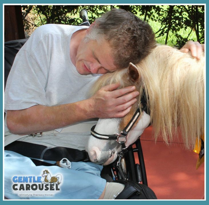 therapy horse catherine hospital gentle carousel wheelchair