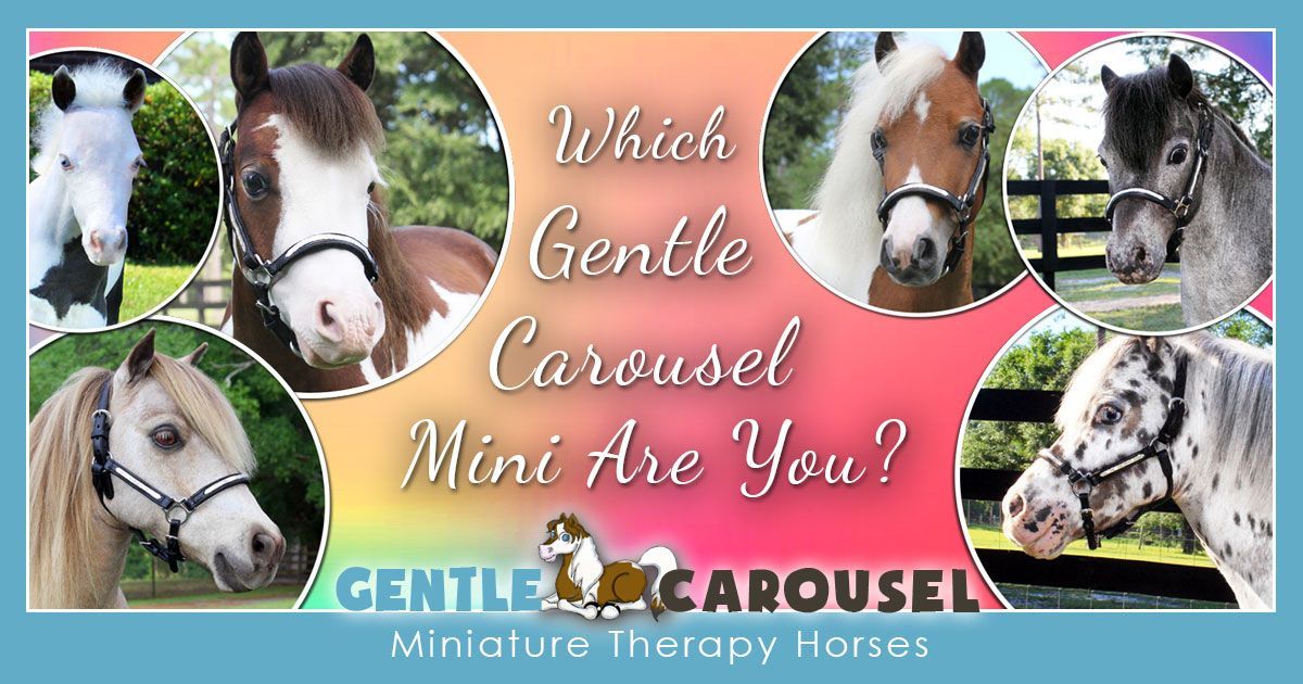 Horse Quiz & Test Gentle Carousel 1200x630