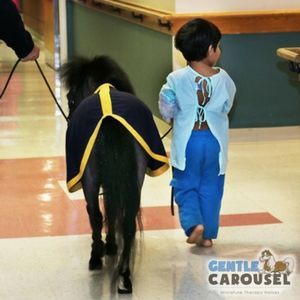 Horse Quiz Gentle Carousel Helping Others 300x300