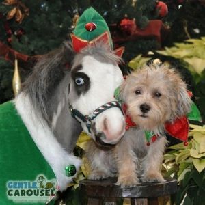 Horse Quiz Gentle Carousel Holiday Wear 300x300