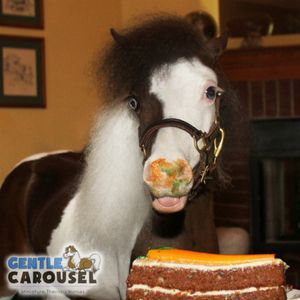 What Horse Are You Gentle Carousel Happy Birthday 300x300