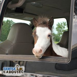 What Horse Are You Gentle Carousel Travel Car 300x300