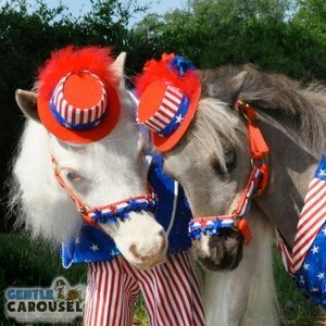 What Horse Are You Gentle Carousel Happy Fourth of July 300x300