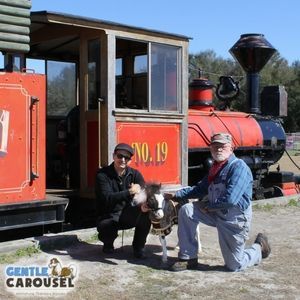 What Horse Are You Gentle Carousel Travel Train 300x300