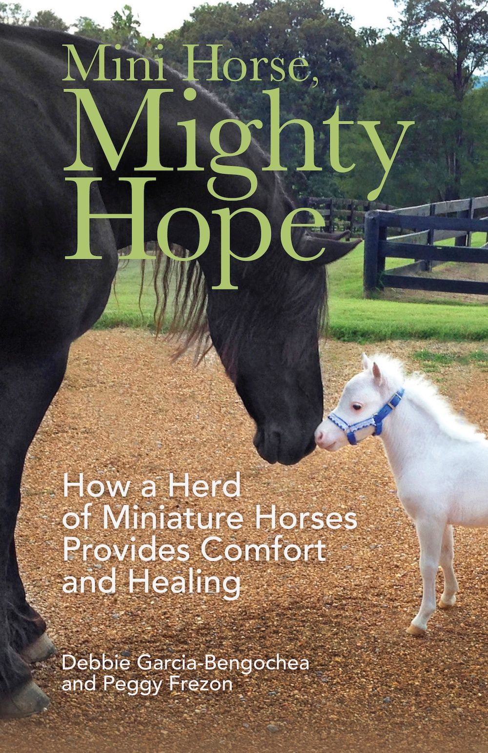 Equine, Minis With A Mission